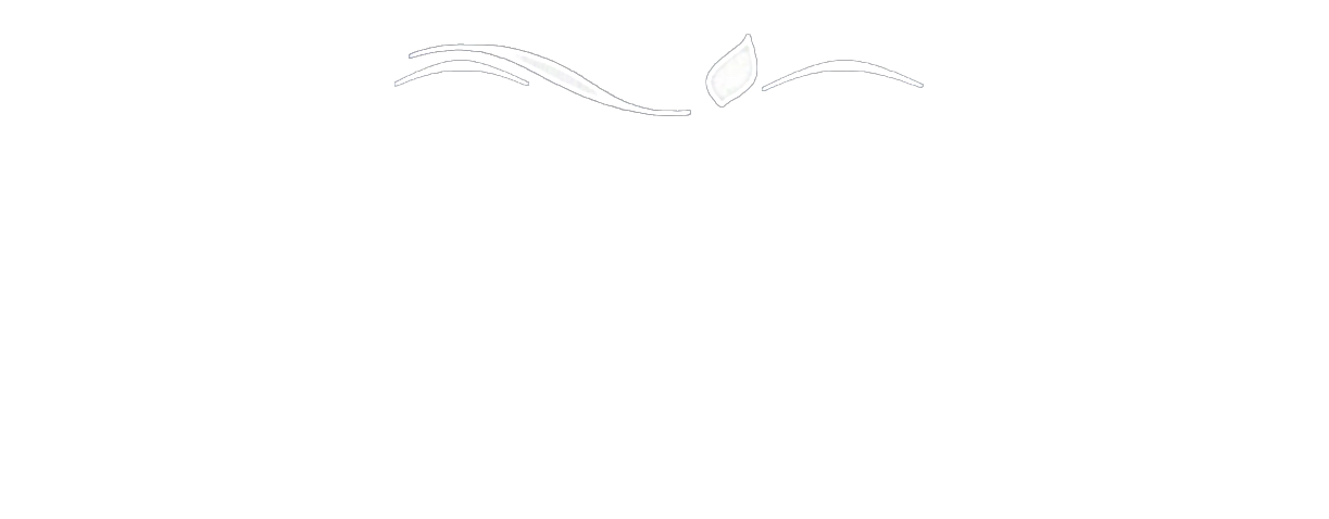 Napitel Diamond